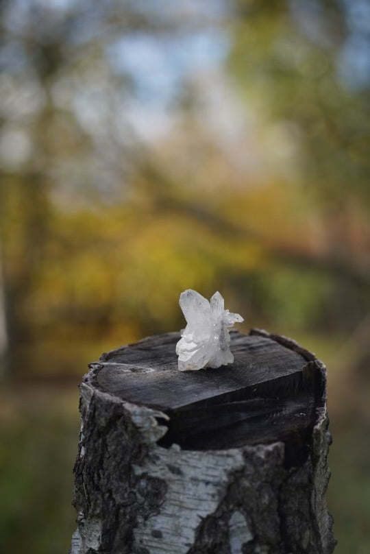 Small Quartz Crystal (Intuitively Chosen)