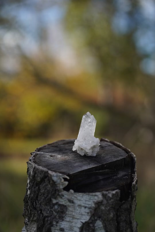 Small Quartz Crystal (Intuitively Chosen)