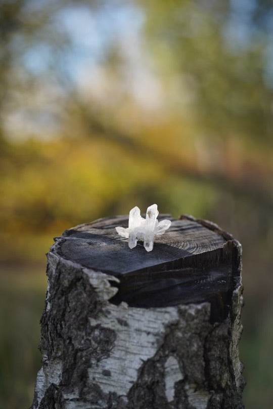 Small Quartz Crystal (Intuitively Chosen)