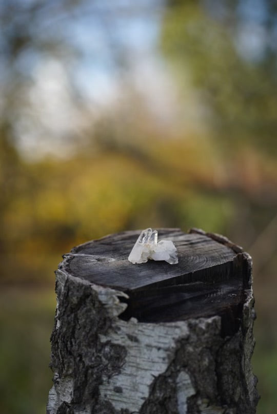 Small Quartz Crystal (Intuitively Chosen)