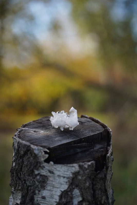 Small Quartz Crystal (Intuitively Chosen)